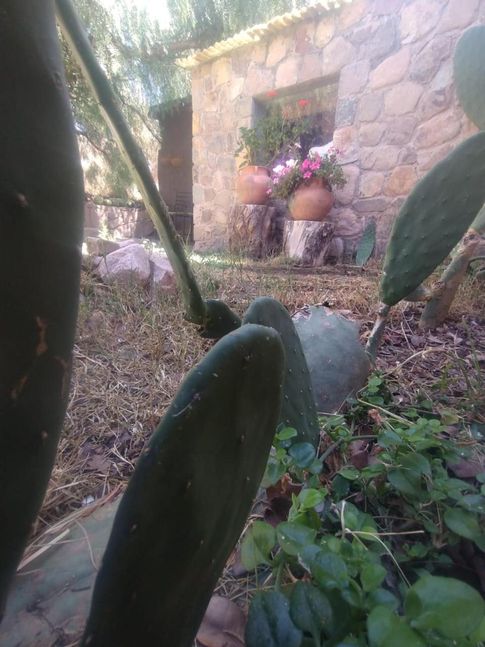 La Casita Tilcara Exterior photo