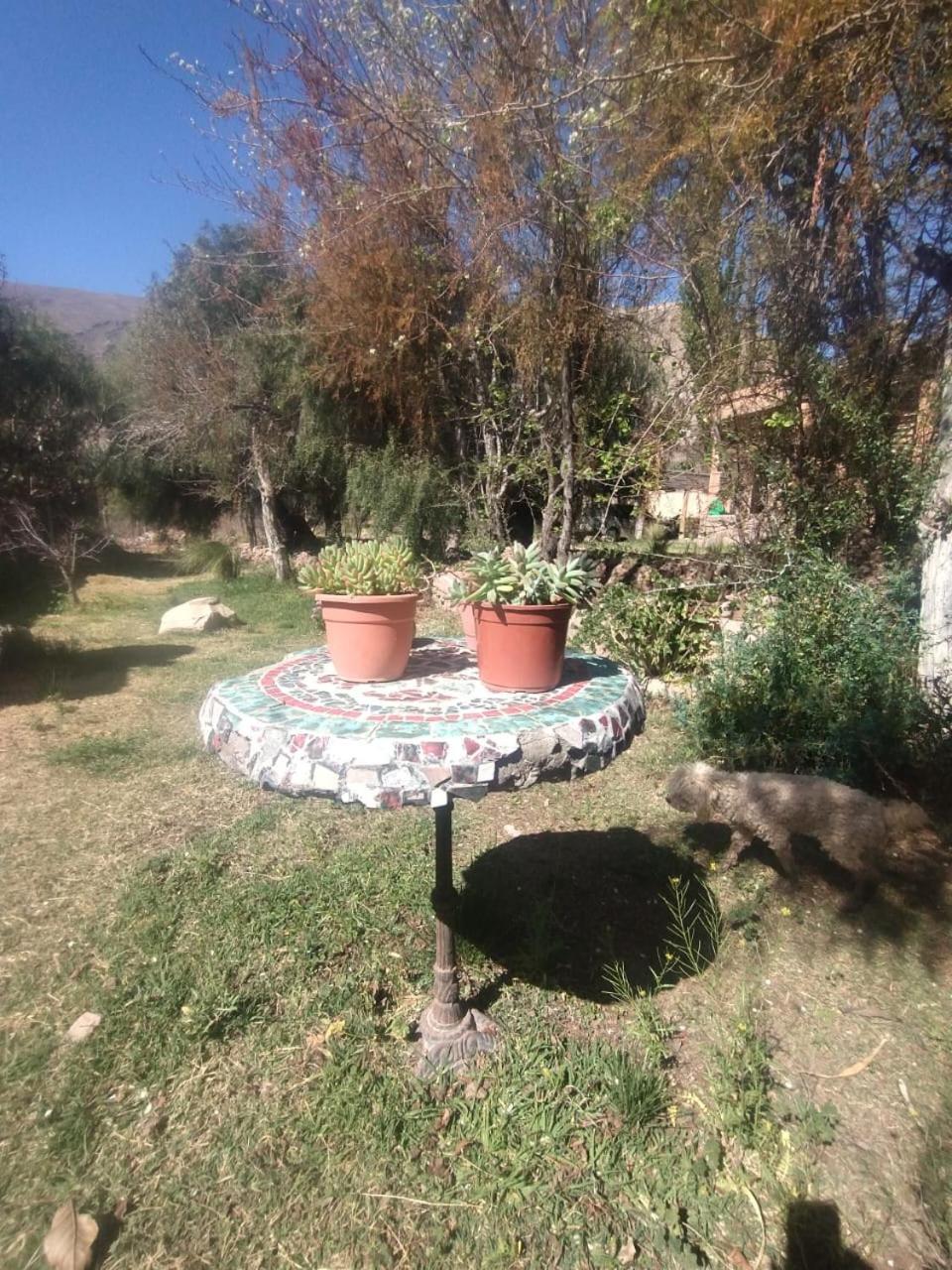La Casita Tilcara Exterior photo